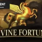 Divine Fortune