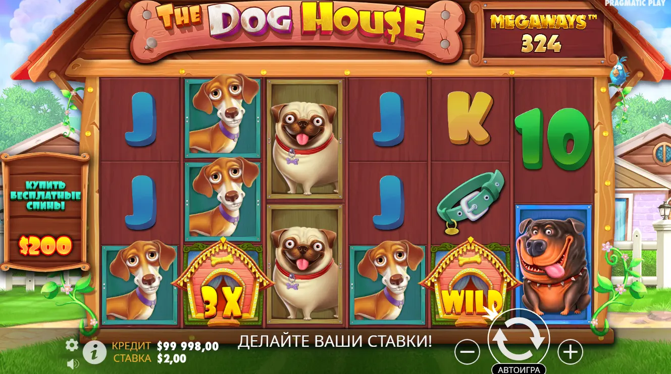 напрямки