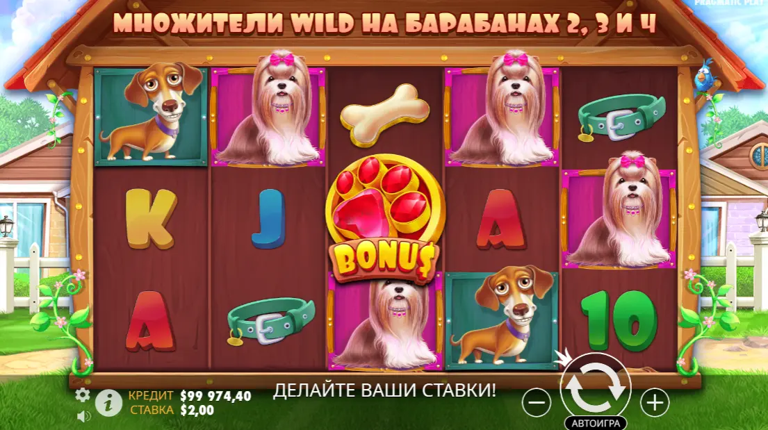 символ BONUS